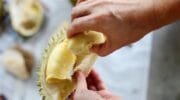 Durian Termahal di Dunia, Ada dari Indonesia Tapi Bukan Musang King. Foto (Ist).