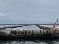 Pagar laut sepanjang lima kilometer milik PT Tunas Ruang Pelabuhan Nusantara (TRPN) membentang di perairan Kampung Paljaya, Tarumajaya, Kabupaten Bekasi, Jawa Barat.(ACHMAD NASRUDIN YAHYA/KOMPAS.com)