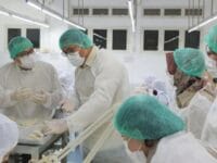 Foto: Wamentan Sudaryono (kedua dari kiri) saat meninjau Processing Bird House di PT Surya Aviesta, Surabaya, Jawa Timur, Selasa, (7/1/2025). (Dok. Kementan)