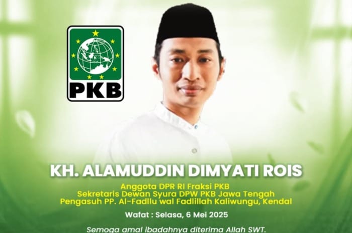 Anggota DPR RI, Alamuddin Dimyati Rois
