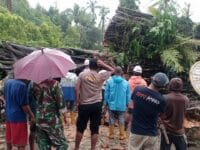 Pohon beringin raksasa yang ada di Kabupaten Sinjai tumbang dan mematahkan dua tiang listrik. Selain menutup akses jalan, tumbangnya pohon beringin ini juga menyebabkan pemadaman listrik di daerah itu.