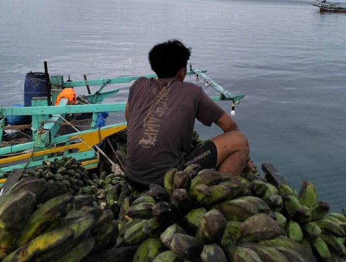 TERISOLASI. Warga pulau Enggano, bengkulu sedang menunggu kapal untuk mengangkut pisang yang merupakan hasil bumi mereka. Sudah empat bulan, warga Enggano terisolasi akibat krisis transportasi laut.