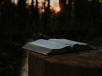 ilustrasi: Buku khotbah tentang hutan