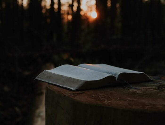 ilustrasi: Buku khotbah tentang hutan
