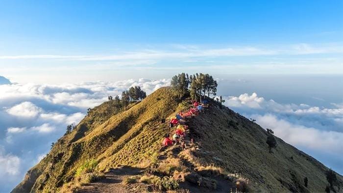 Rinjani