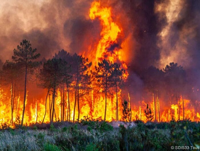 ilustrasi: kebakaran hutan di Sulsel