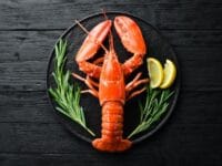 Lobster