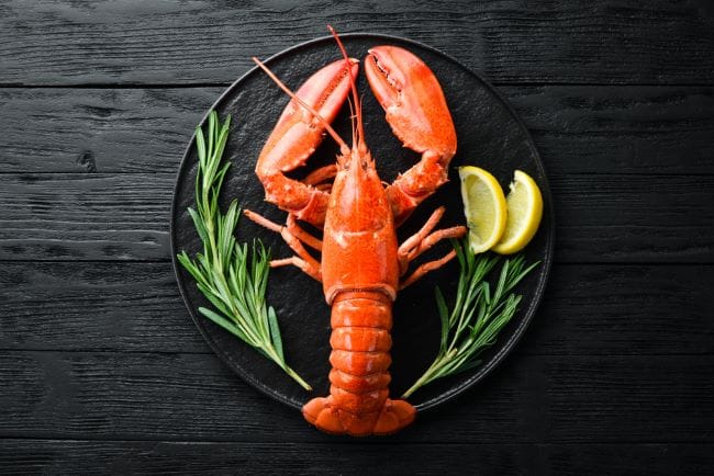 Lobster