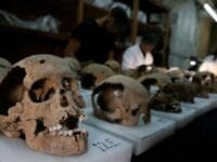 Ilustrasi: penemuan tulang manusia