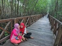 WISATA. Hutan Mangrove Tongke-Tongke di Desa Tongke-Tongke, Kecamatan Sinjai Timur, Sinjai. Dinas pariwisata setempat menyebut kunjungan wisatawan di Sinjai mengalami penurunan, tahun ini.