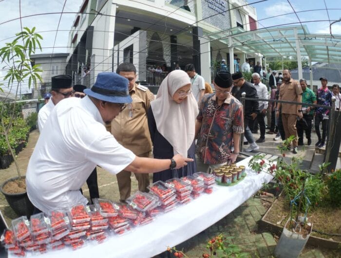 Katokkon Disangka Strawberry Oleh Aslam Katutu