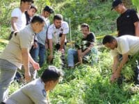 ladang ganja di Bulukumba