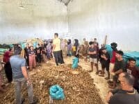 ILEGAL. Tumpukan bambu laut kering yang akan di ekspor ke Cina. Sebanyak 10 ton bambu laut diketahui sudah dijual ke Cina secara ilegal.