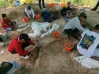 PURBA. Proses penggalian gajah purba raksasa di Nhanjuk.