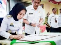 Wali Kota Palopo, Naili Trisal