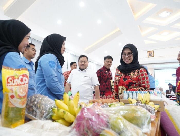 Bupati Gowa, Sitti Husniah Talenrang