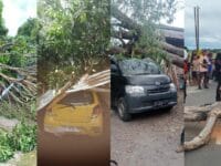 BENCANA. Angin kencang menumbangkan sejumlah pohon di Kabupaten Bulukumba, Sabtu 15 November 2025.