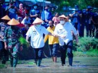 BENIH. Bupati Pangkep HM Yusran Lalogau meluncurkan program "Pangkep Sejahtera" sekaligus memperkenalkan benih padi jenis IR42 kepada masyarakatnya, pada 2021, lalu.