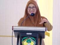 Bupati Gowa, Sitti Husniah Talenrang