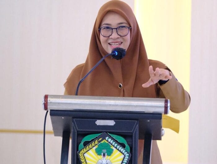 Bupati Gowa, Sitti Husniah Talenrang