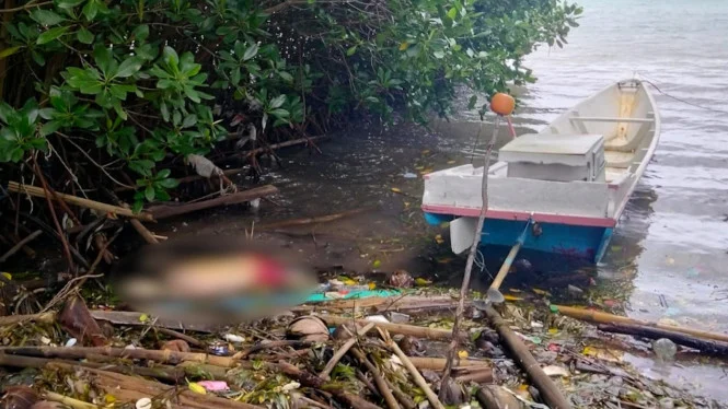 BIKIN GEGER. Mayat tanpa identitas ditemukan tersangkut di mangrove Pangkep.