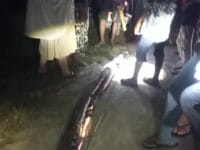 BAHAYA. Warga melumpuhkan ular piton yang sempat menggigit dan melilit seorang wanita di Kabupaten Maros.