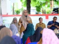 Bupati Gowa, Sitti Husniah Talenrang