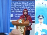 Bupati Gowa, Sitti Husniah Talenrang