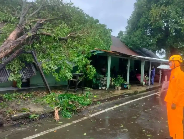 CUACA BURUK. Sejumlah rumah rusak tertimpa pohon di Makassar akibat cuaca buruk. BMKG memprediksi Makassar, Maros dan Gowa berstatus siaga dalam dua hari ke depan.