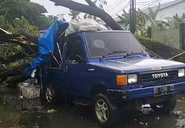 Pohon tumbang menimpa mobil seorang pedagang rambutan di Jalan Ir Sutami, Makassar.