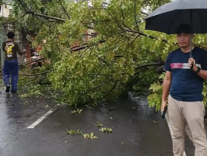 BENCANA. Pohon tumbang di Kalegowa, Gowa.