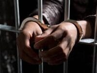 Ilustrasi: Pencurian ternak