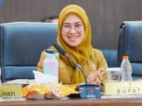 Bupati Gowa, Sitti Husniah Talenrang