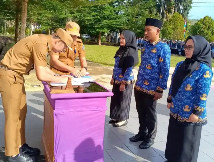 PPPK Paruh Waktu Enrekang