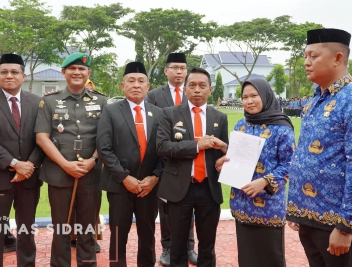 PPPK Paruh waktu sidrap