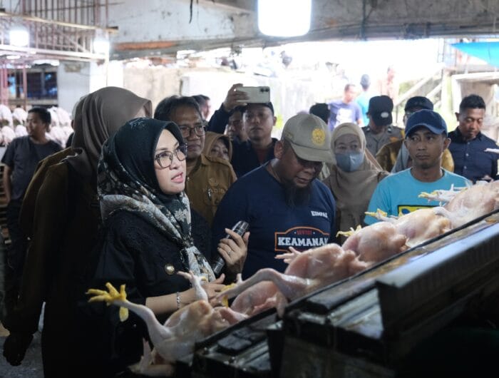 STABIL. Bupati Gowa, Sitti Husniah Talenrang saat memantau harga kebutuhan pokok di pasar Minasamaupa, Gowa.