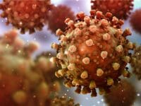 Ilustrasi: Covid Cicada